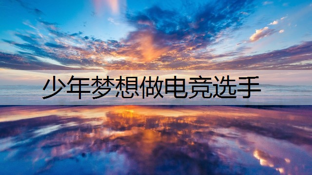 少年梦想做电竞选手