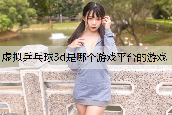 虚拟乒乓球3d是哪个游戏平台的游戏