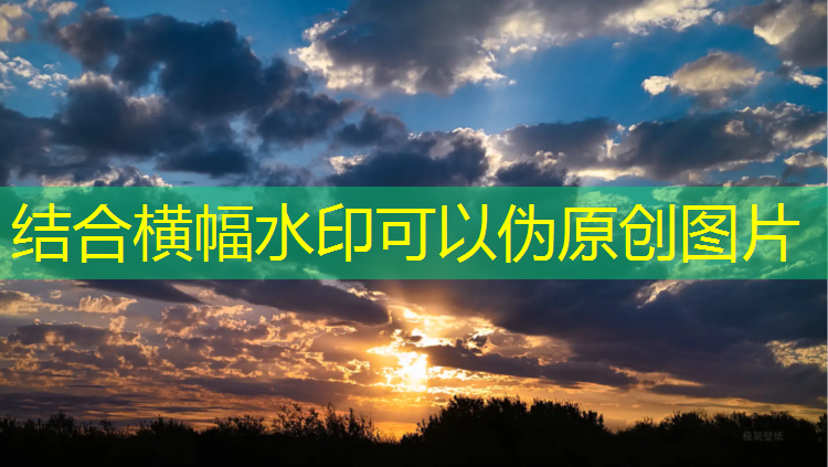 kaiyun·开云电竞为您介绍：pel电竞应援活动咋没了