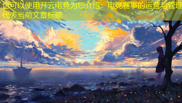 开云电竞为您介绍：电竞赛事的运营与管理