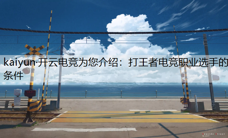 打王者电竞职业选手的条件
