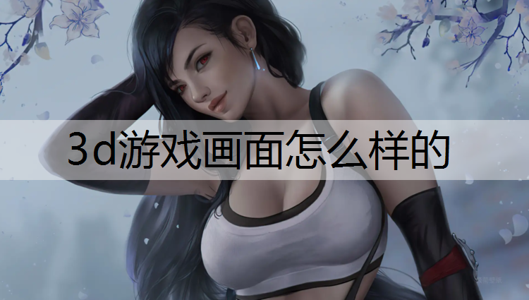 3d游戏画面怎么样的