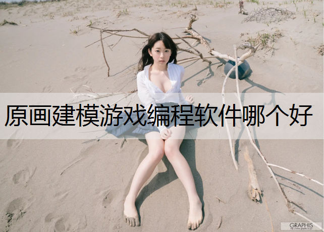 原画建模游戏编程软件哪个好