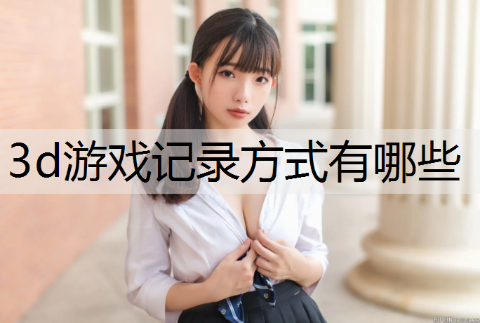 3d游戏记录方式有哪些